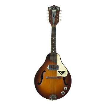 Fine Art Prints of Vintage Guitars