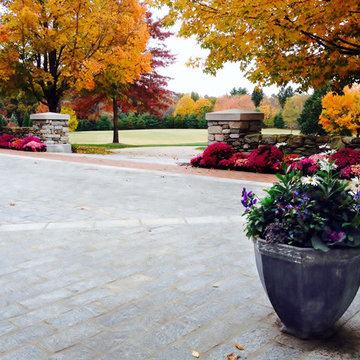 Container Planting Designs