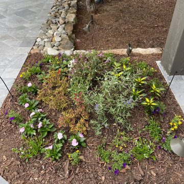 Spring and Summer Annuals Landscape Beds