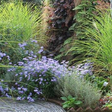 Contemporary Designs