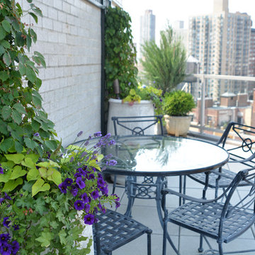 Penthouse Container Garden