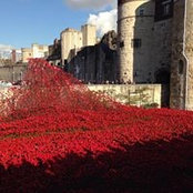Nikki Pearce's photo