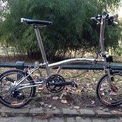 Ben Shemss billede