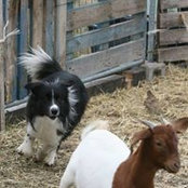 Karin Warkentin's photo