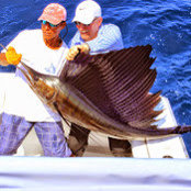 David Stoner's photo