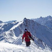 Teddy Hoffman's photo
