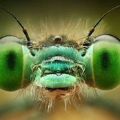 Chris George's photo