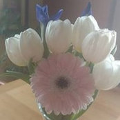 Melissa Jager's photo