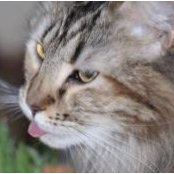 Lisa Bagley's photo