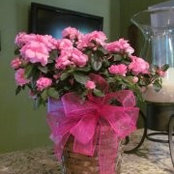 Vickie Waltrip's photo