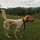 jonathan_stepp