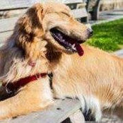 Foto von Rochelle Carney