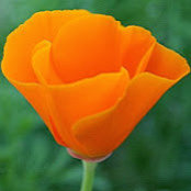 Rakhi Khatri's photo