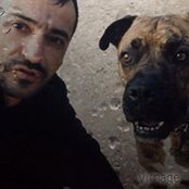 Nelson Mendes's photo