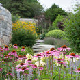 Parterre Garden Services's profile photo