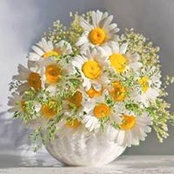 Vanya Drazheva's photo