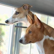 Kelly Gamble's photo