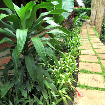 OLGA'S GARDEN, Livingstone - Zambia