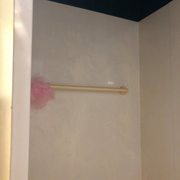 Bath Remodel