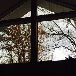 Picture Windows - Windows