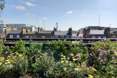 Colourful summer planting with Central London skyline
