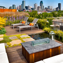 urban wildflower garden