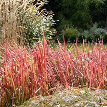 Perennial Planting