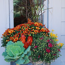 Fall Decor