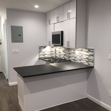 Modern Gut Renovation Project