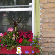 window boxes