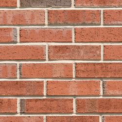 Triangle Brick's Flashed Wirecut - Bricks And Masonry