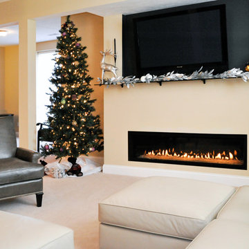 Fireplaces & Heating Stoves - Gas, Wood, Pellet & Electric