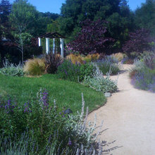 pathways