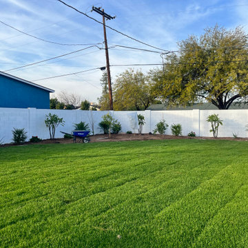 Tropical TIKI Yard