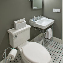 lower level bathroom