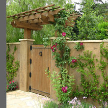 landscape archictecture
