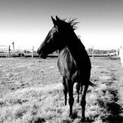 Linda Elliott's photo