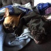 Valentina Parisi's photo