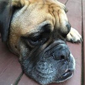 Joe Kavlick's photo