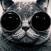 Aleks Orex's photo