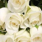 Samia Hasan's photo
