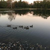 Kathleen Fleming's photo