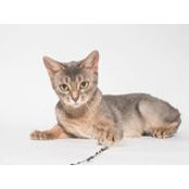 Lucia Neimann's photo