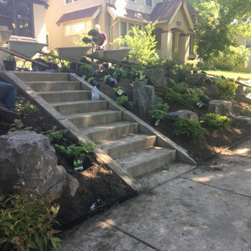 Slopped shade garden