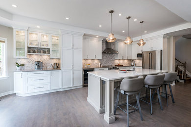 Kitchen - contemporary kitchen idea in Ottawa