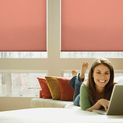 Roller Shades - Window Treatments
