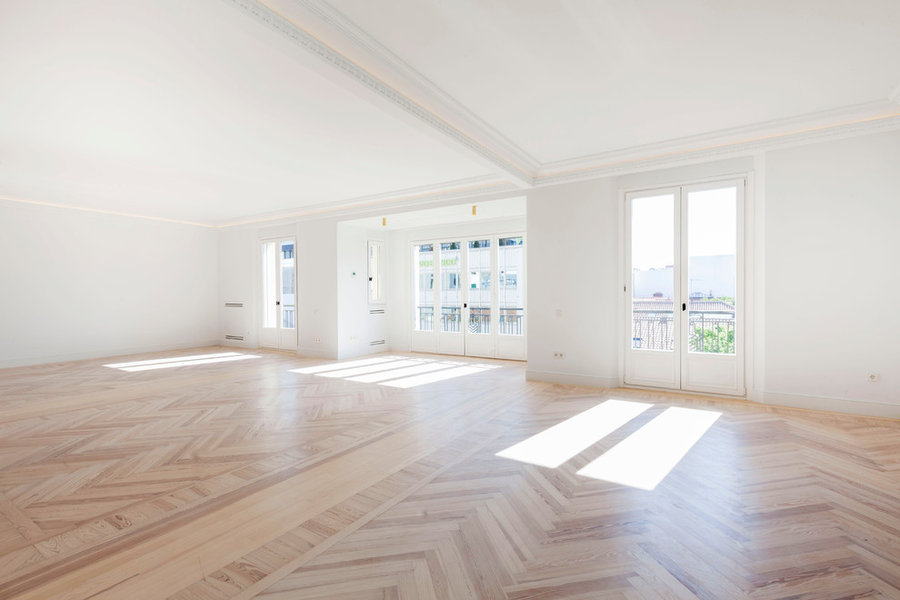 Proyecto de reforma, estudio Beta punto cero