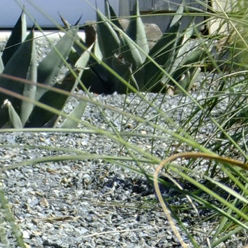 Contemporary lines