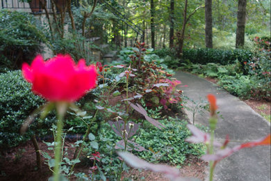 Design ideas for a landscaping in Atlanta.