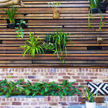 Exterior Ideas